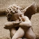 강송로225번길 이미지