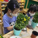 별내초등학교(병설) 이미지