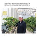 스카이농장 | 4월호) 딸기 스마트팜 재배 현장 농가 인터뷰입니다. - 스카이코트5(투명 PO필름 바츠군5),그로우에어
