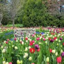 꽃들의 미소 이미지