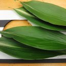 동양 꽃꽂이 이미지