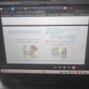 [가성비 좋은 화상영어] 반값영어 한달 수강후기 솔직한 내돈후기. 추천인(kms8362)