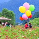 &#34;천만 송이 꽃이 펼치는 축제&#34;... 9월, 가족과 함께할 최고의 꽃 명소 이미지