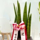 루나치과보존과치과의원 이미지