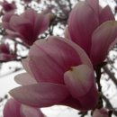 양평신내 서울해장국 이미지