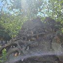 와우정사 | "특별한 사찰,특별한 경험" 용인의 와우정사 방문후기