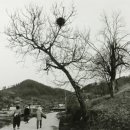 용담호사진문화관 이미지