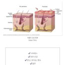 경희유안한의원 이미지