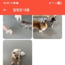 부산대연유치원 이미지