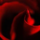 꽃보다 사랑 이미지