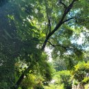 월악고을 | 아이들과 가기 좋은 충주월악고을펜션 가격 및 솔직후기