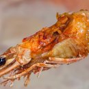 해물후루룩수산 이미지