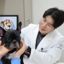 잠실종합동물병원 이미지
