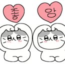 멍해묘해 이미지