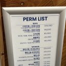 강아지미장원 | 부산 사직동 레이어드펌 맛집 신길이네 미장원 수현쌤에게 시술받은 후기 (반려동물 동반, 주차 정보)