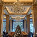 케미호텔 | 2026 서울 롯데호텔 페닌슐라 딸기뷔페 비추천 솔직후기(가격/예약/메뉴) feat.드래곤시티 비교