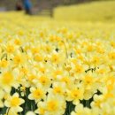 리드인독서역사논술학원 이미지