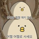 Cookie89(쿠키89) | 캠프/퍼포먼스 마케터 취업 준비] 도와세움 디마에 89기 3주차 후기 (1), 마케터인가? 데이터 분석가인가?