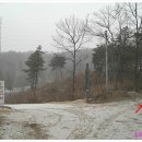 그린승마랜드 이미지