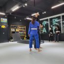 칼슨그레이시 코리아 | 청주 주짓수 여자 3년차 리얼후기_칼슨그레이시 코리아 청주지부