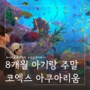 북문커텐 | 8개월 아기랑 코엑스 아쿠아리움 아기띠 앞보기 관람 후기 (수유실 위치, 주차 꿀팁)