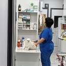 열린동물병원 이미지