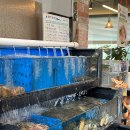 지구에서온아구해 이미지