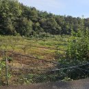 하빈농장 이미지