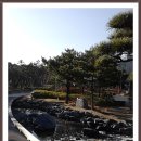 부경대학교(대연캠퍼스) 티스토리