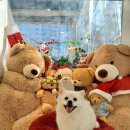 이재룡의 뭉개뭉개유치원 이미지