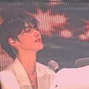 원진개쉼터 | 크래비티 콘서트 후기... 크놀...시작....