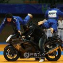 용인대학교강력유도관 이미지