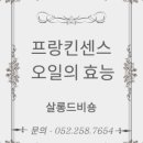 살롱 드 비숑 이미지