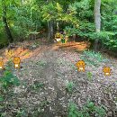 관성3리 이미지