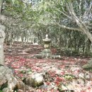 강진 바스락길 이미지