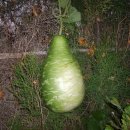 기수농장 이미지