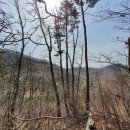 삼밭골목장 이미지