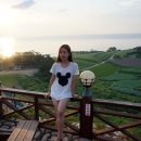 영광카타운 네이버블로그