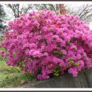 조선대학교병원 이미지