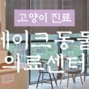 레이크동물의료센터 이미지