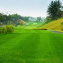 영동 일라이트CC 이미지