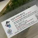 동남식품 | 새싹삼 약용채소/ 면역력 충전 완료! 천안 동남구 국산 ‘어사 새싹삼’ 솔직 후기 (부모님 선물 추천)