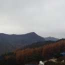 황우목장 이미지