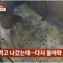 카페하다 - 성남시 수정구 시민로 138 | 카페하다