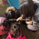 지구촌어린이집 이미지