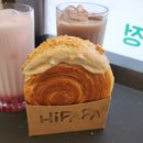 하이파파