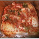 apron's 에이프런네 부엌 비닐봉투김치 김치통에 보관하는법 이미지