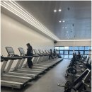 다이아짐 이미지