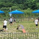 견생폼사 이미지