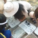 구산초등학교 이미지